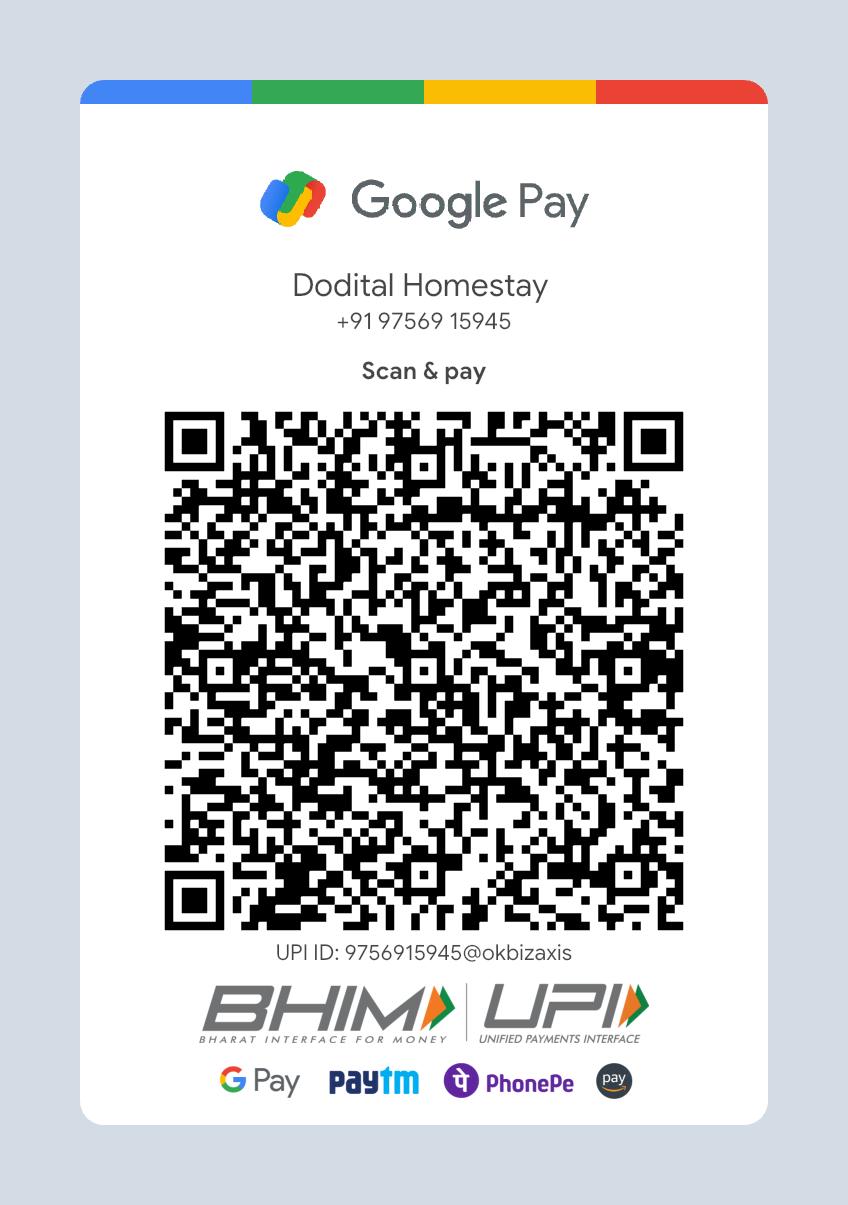 Google Pay / PhonePe QR Code